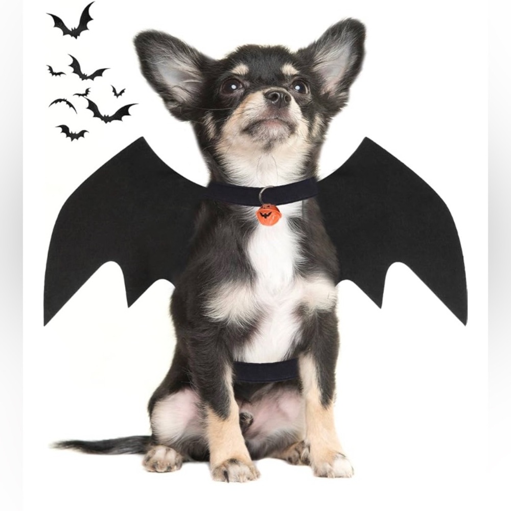 Pet Halloween Bat Wings with Pumpkin Bell Costume
For Dog or Cat